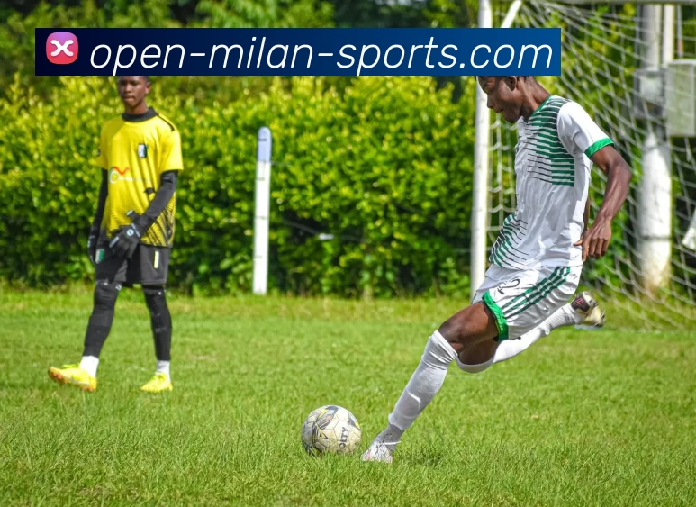 米兰官网APP 封面图